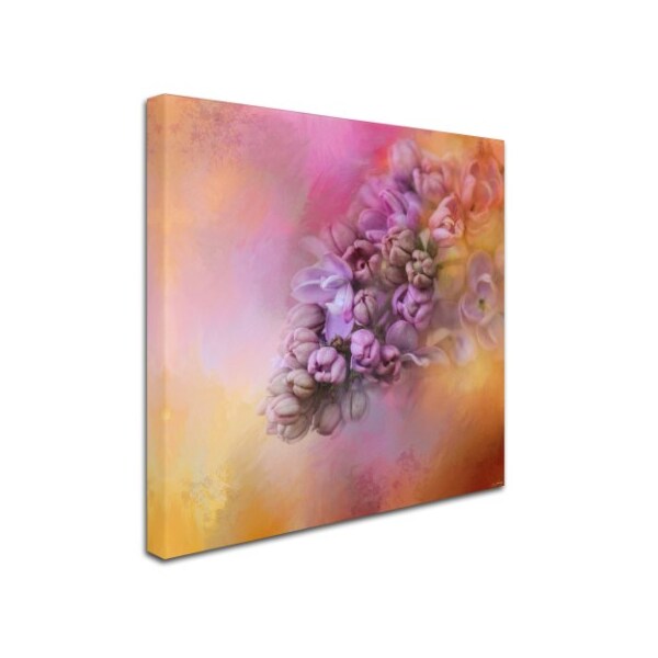 Jai Johnson 'Sun On The Lilacs' Canvas Art,14x14